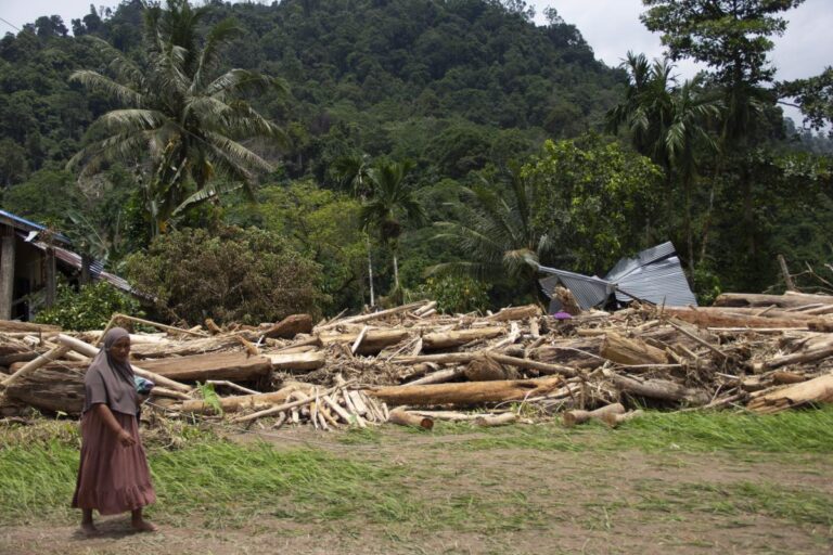 In Indonesia, deforestation is intensifying disasters from severe weather and climate change