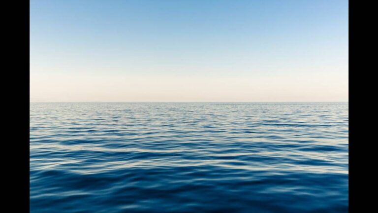 Massive sea creatures linger near boat off California coast in ‘unforgettable’ moment