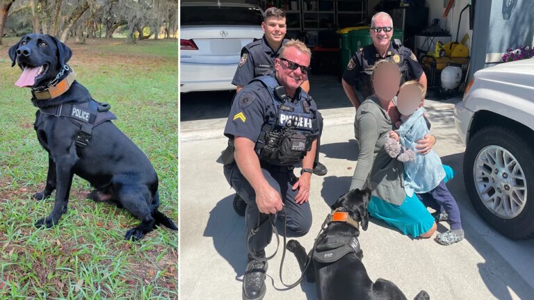 Police dog finds missing Florida toddler safe in woods after following scent from blanket