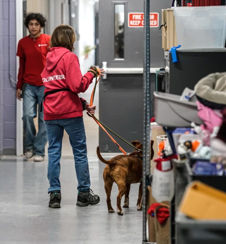 'Utter chaos' alleged at IndyHumane as staff rebels against pet shelter's leader