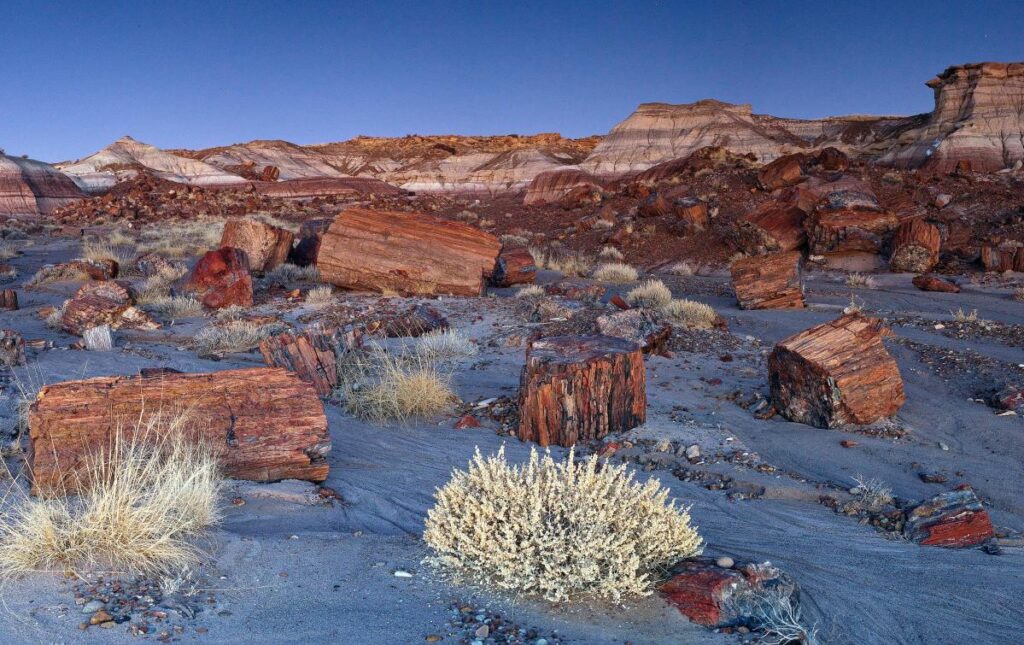 Why Petrified Forest National Park deserves to be a destination, not just a detour