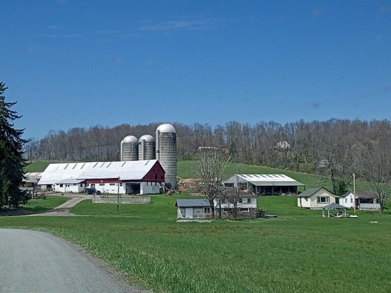 Agricultural Conservation Assistance Program offered to Wayne County farmers