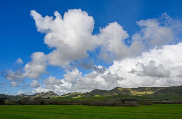 San Luis Obispo Tribune