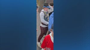 Boston police seek help identifying person in connection with assault and battery at an MBTA station