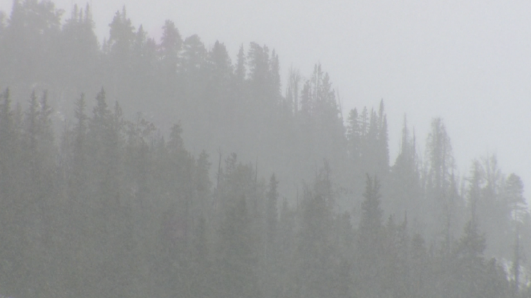 Snow clouds over Colorado high-country forest