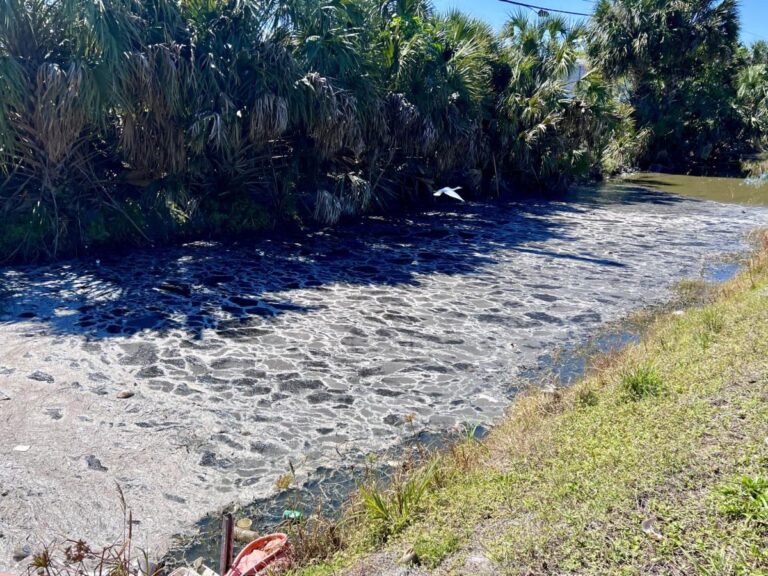 Crews have stopped 5-day sewage spill in Lake Worth Beach. What to know about the cleanup