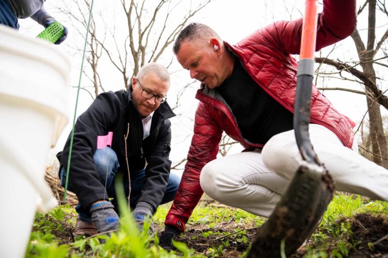 Des Moines' Strasser Woods, a deteriorating forest preserve, to get 750 new trees