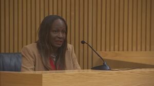Ex-Commissioner Regina Hill talks to Channel 9 after taking the stand