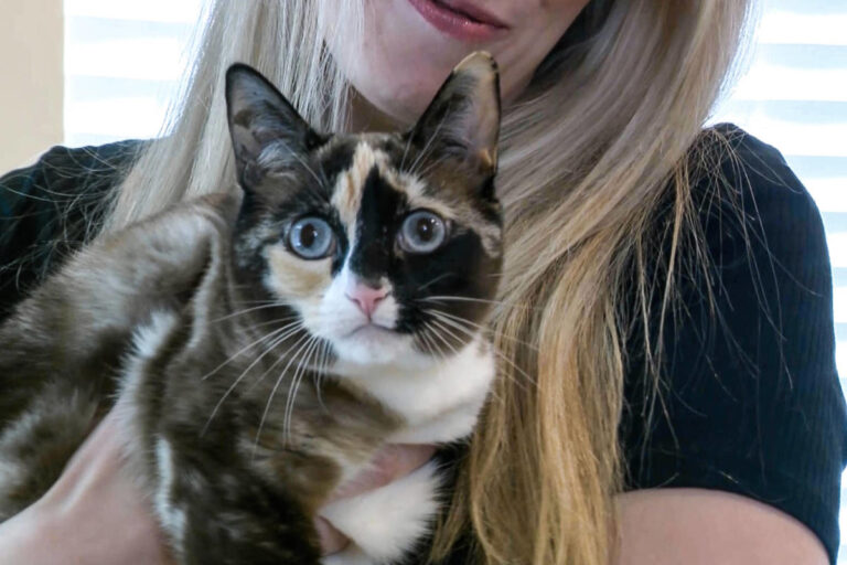 Family reunited with cat after they accidentally ship it out with return