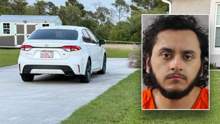 Florida pre-med student admits to stabbing his mother to death: 'Inexplicable, vicious'