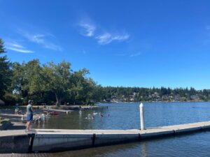 Lake Samish Park is closing this summer for construction. Where else can you go for a swim?
