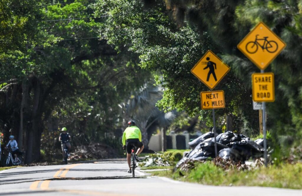 Leon County a crash 'hot spot' as pedestrian, cyclist deaths and injuries mount