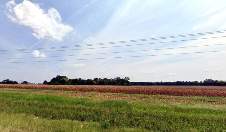 Lexington County leads SC in loss of farmland. A new study recommends expanded protections