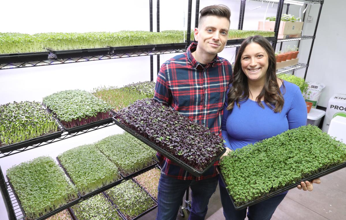 New Franklin micro farm aims to cultivate sustainability, profitability