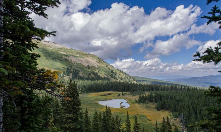 New Mexico’s rivers are most threatened waterways in US, report finds