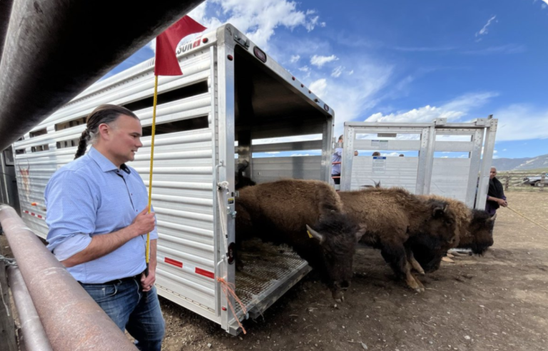 Newland Touts Biden's Investing in America Agenda at Bison Release at Taos Pueblo