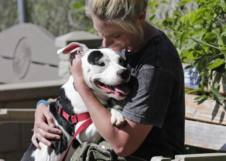 Oshkosh Area Humane Society calls on public for help adopting or fostering animals during renovation work