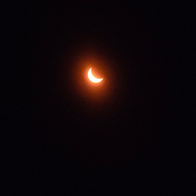 Over 100 gather at Tallahassee Community College during peak eclipse viewing