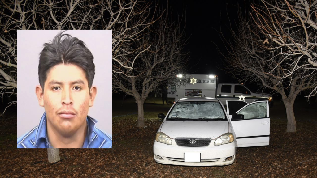 Teen illegal immigrant arrested in connection to murder, mutilation of California man found in car