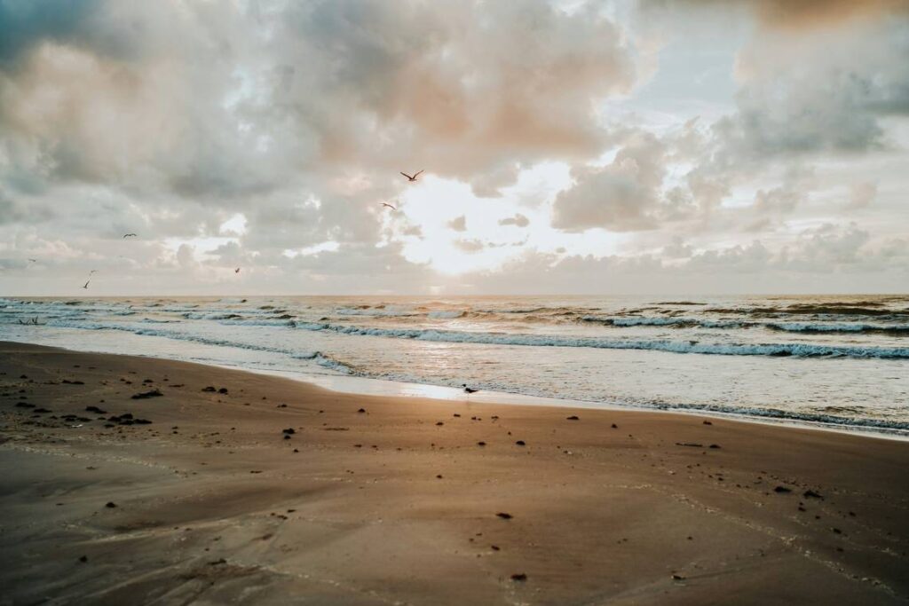 This ‘suspicious package’ washed up on a Texas beach. Here’s what cops ...