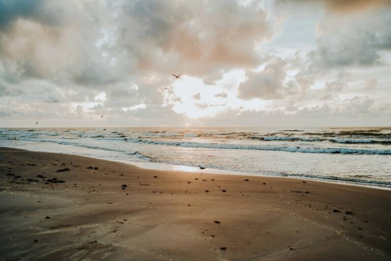 This ‘suspicious package’ washed up on a Texas beach. Here’s what cops think is inside