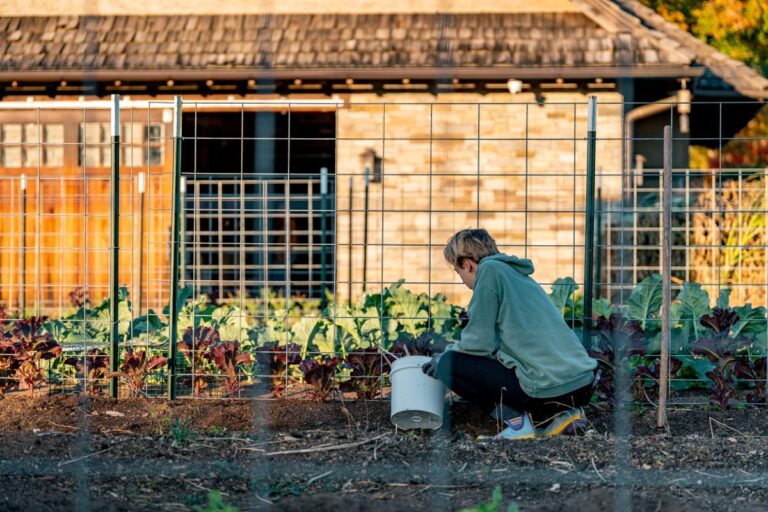 Want to compost in your backyard? Here's how to start