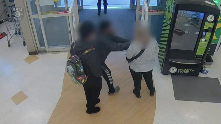 Washington teen steals woman’s purse, punches her outside pharmacy: authorities