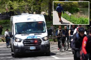 Woman assaulted, two men robbed in NYC's Central Park in two days