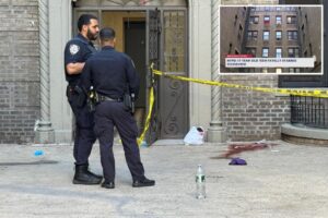 17-year-old girl stabbed to death outside NYC apartment building: cops