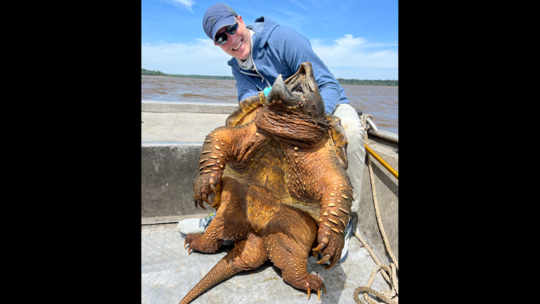 200-pound creature was fisherman’s ‘consolation prize.’ Then he set a world record