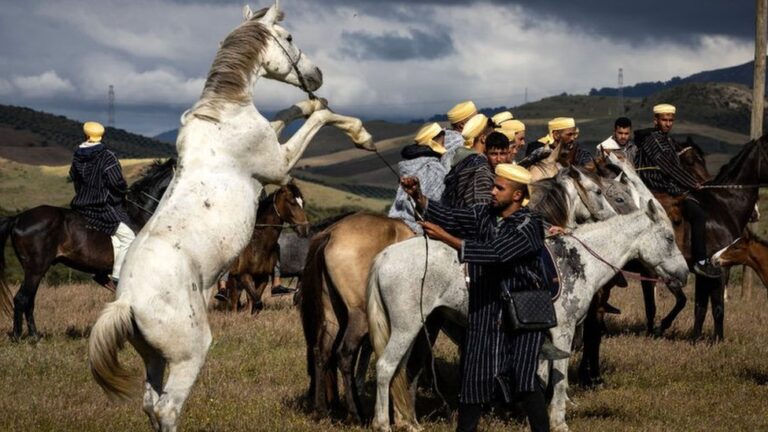 Africa's week in pictures: 17