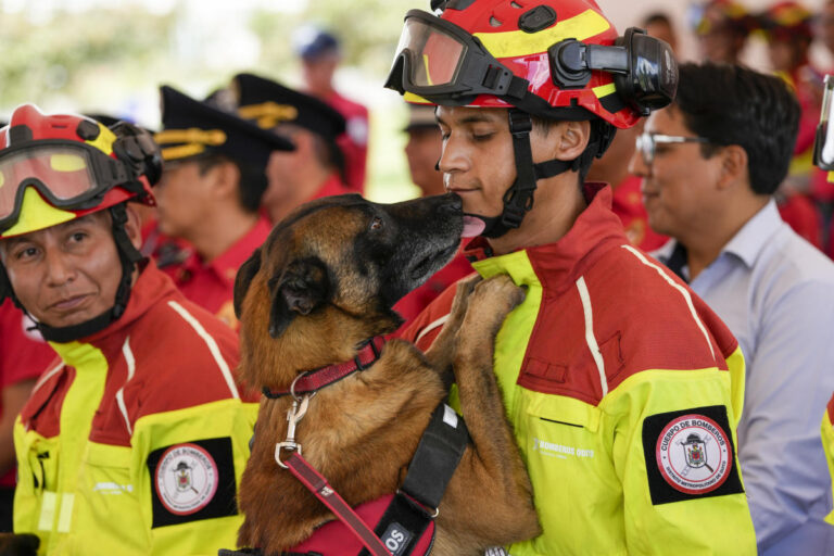 Ecuador's firefighters bestow honors on 5 rescue dogs at retirement ceremony