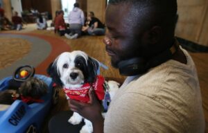 Emotional support dogs help Iowa State students through finals