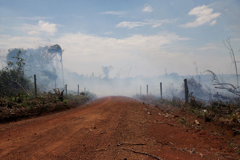 FILE PHOTO: Smoke rises in the middle of an illegal road made during the deforestation of the Yari plains, in Caqueta