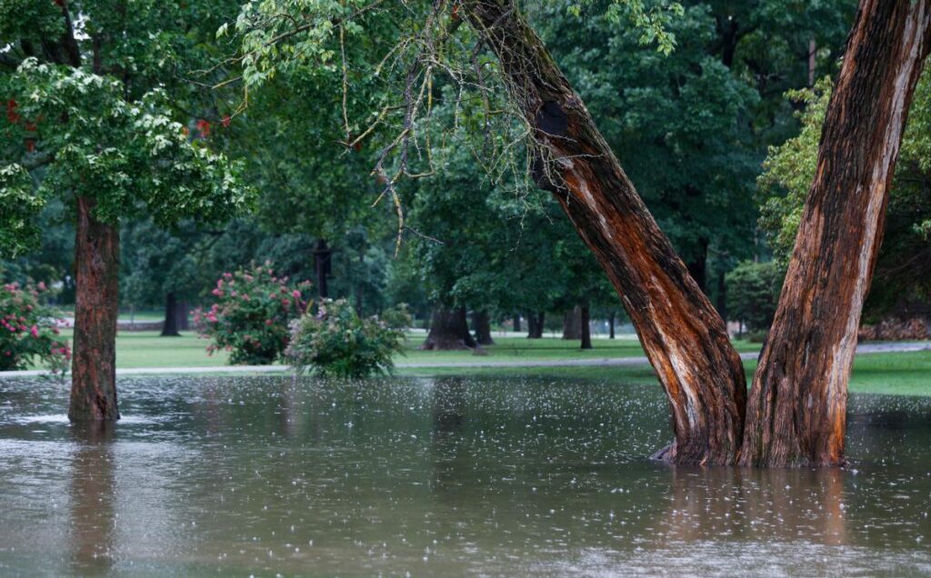 Experiencing flooding? See if one of these stormwater projects is in your neighborhood
