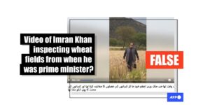 Imran Khan impersonator's video passed off as jailed ex-leader 'inspecting crops'