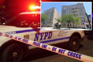 NYC ex-con busted after his 79-year-old mom found dead with black eye, cuts: sources