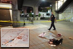 NYC girl, 17, fatally stabbed at Queens train station: NYPD