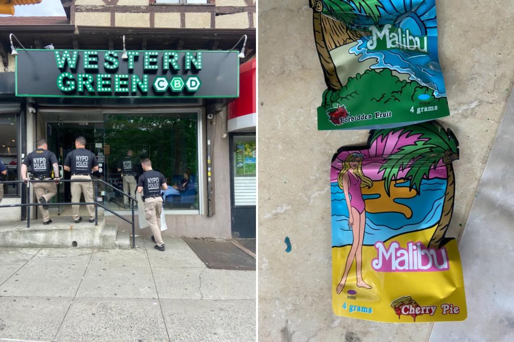 NYC weed shops crackdown is great news, but without wider reform will just be Whack-a-Mole