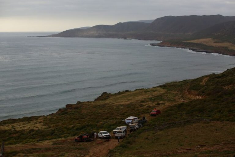 Parents of US, Australian tourists presumed killed in Mexico to try identifying bodies