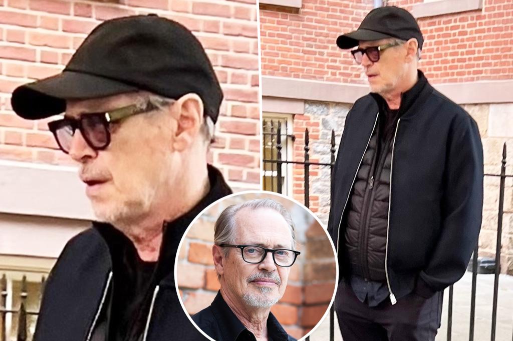 Steve Buscemi seen with black eye after being punched in random NYC attack