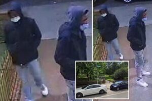 Teen robbery crew ambushes more than a dozen victims in 5-month spree at NYC park: cops