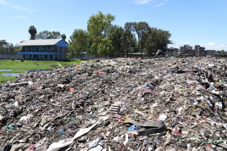 They study next to one of Africa's largest trash dumps. They're planting bamboo to try to cope