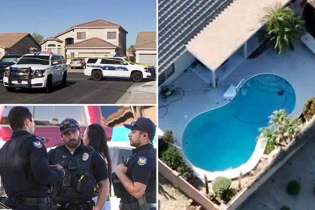 Twin girls drown in Phoenix, Arizona swimming pool - Global pulse News