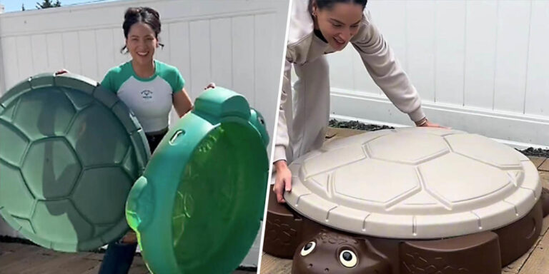 ‘Sad Beige Mom’ goes viral for giving children’s sandbox a makeover