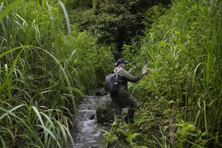 In Indonesia, women ranger teams go on patrol to slow deforestation