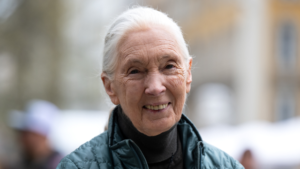 Jane Goodall Announces First Australian Tour In Five Years