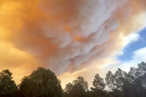 New Mexico wildfire prompts evacuations and protection for undocumented spouses of U.S. citizens: Morning Rundown