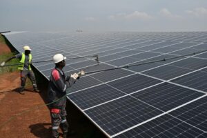 Solar panel costs have decreased by 30 percent over the past two years, the IEA said (Sia KAMBOU)